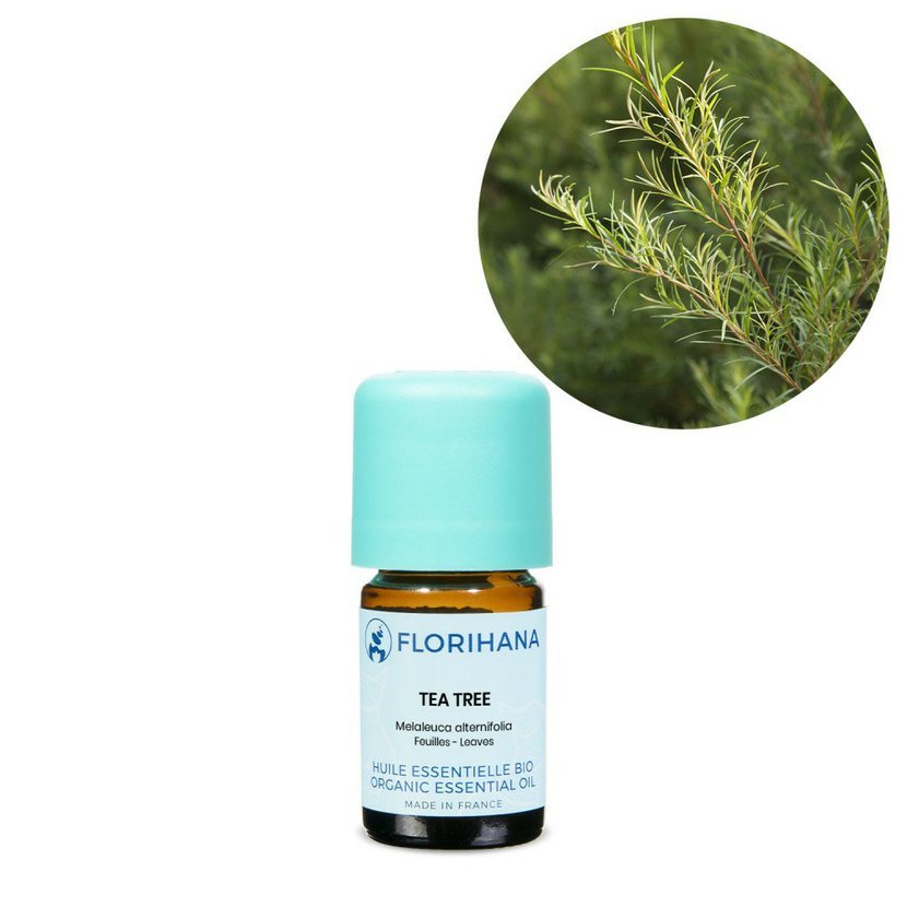 tea tree